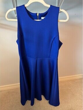 Milly Blue Fit and Flare Dress